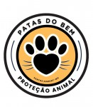 Organizador